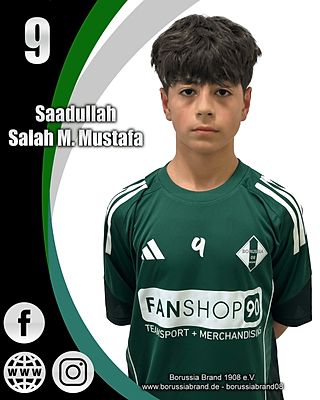 Saadullah Salah M. Mustafa