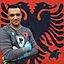 Damir Karic