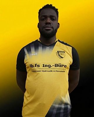 Nelson Mawuli Quashie