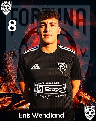 Enis Wendland