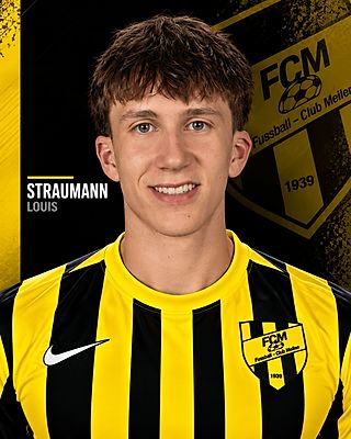 Louis Straumann