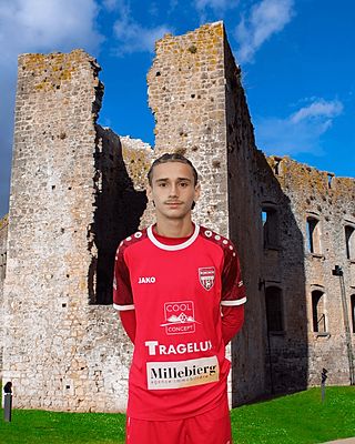 Diego Ribeiro Andrade