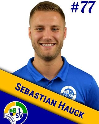 Sebastian Hauck