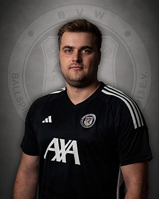 Erwin Anton