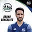 Bruno Goncalves