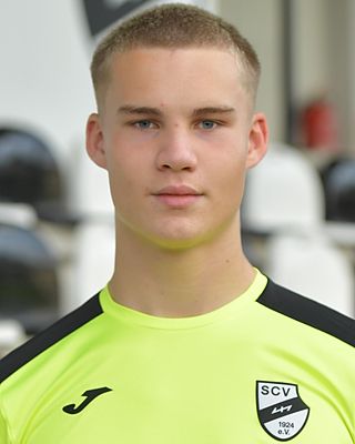 Henk Hanhörster