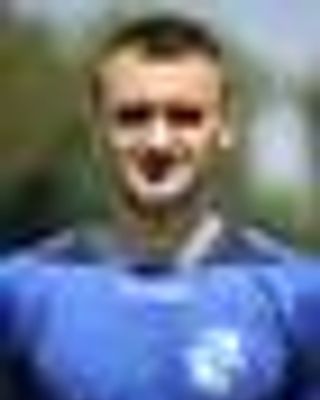 Mircea Bodea