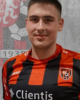 Nemanja Nikolic