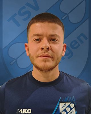 Vincenzo-Alessio Regole