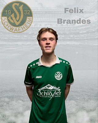 Felix Brandes