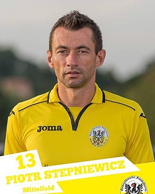 Piotr Stepniewicz