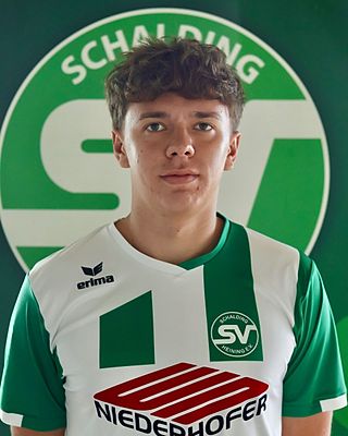 Marius Niederländer