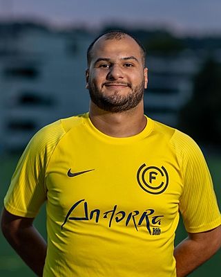 Hadi Awada