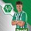 David Schairer
