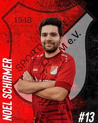Noel Schirmer