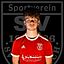 Tom Kesselheim