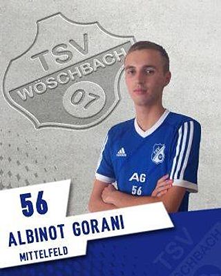 Albinot Gorani
