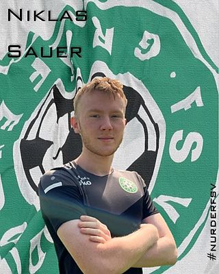 Niklas Justin Sauer