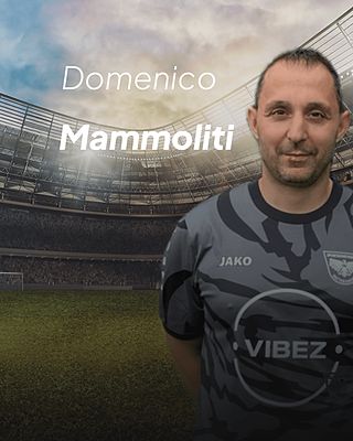 Domenico Mammoliti