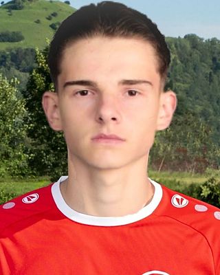 Flavius-Mihai Niculescu