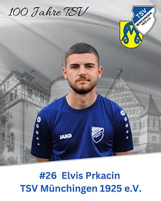Elvis Prkacin