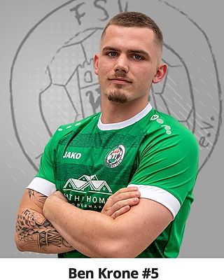 Ben Niklas Krone
