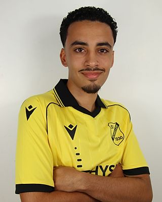Ayman Hamza
