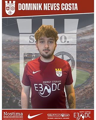 Dominik Neves Costa