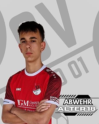 Julian Johannes Schwed