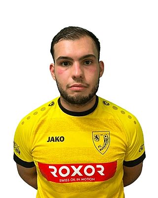 David José Almeida Lopes