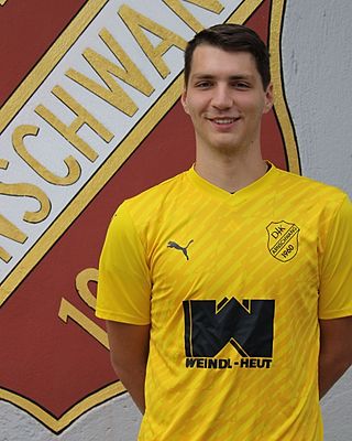 Alexander Heigl