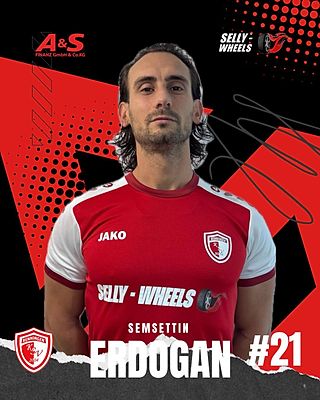 Mehmet Semsettin Erdogan