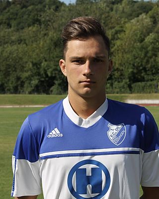 Laurens Lutz