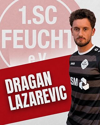 Dragan Lazarevic