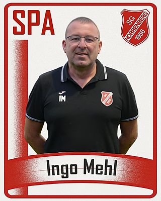Ingo Mehl