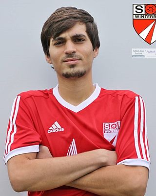 Mohammad Ashour