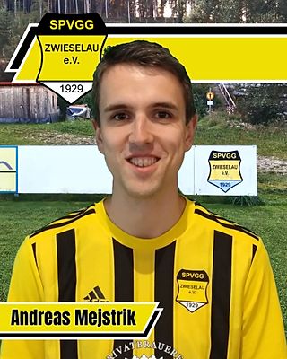 Andreas Mejstrik