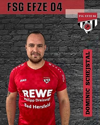 Dominic Schejstal