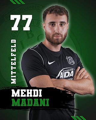 Mehdi Madani