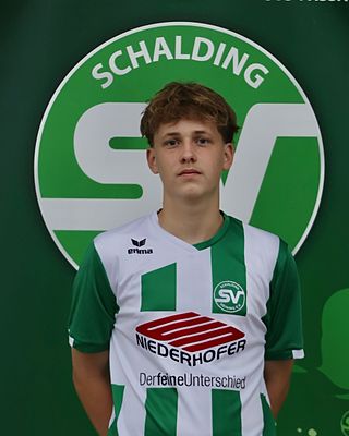 Timo Liebl