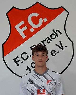 Johannes Friedl