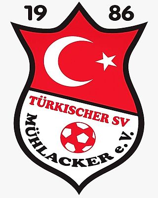 Ali Caner Torun
