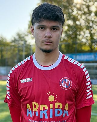 Niklas Henri Beier