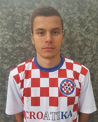 Tomislav Šipek
