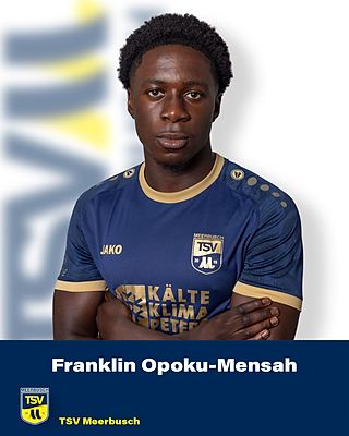 Franklin Anarfi Opoku-Mensah
