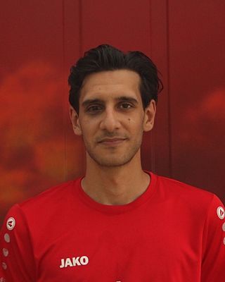 Denis Badrov