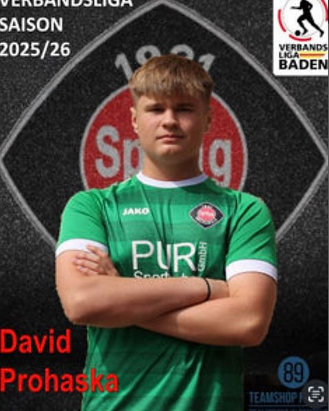 Foto: SpVgg Neckarelz