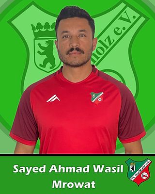 Sayed  Ahmad Wasil Mrowat