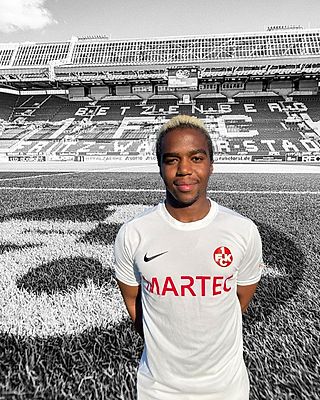 Francisco Alves Victorino