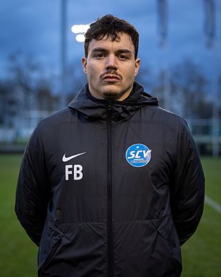 Fabrizio Borsani